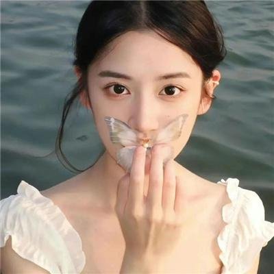 海豚的哭泣